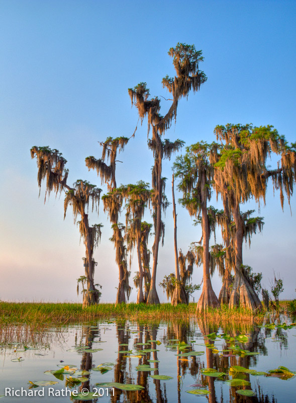 Compare #5 - Detail Enhancer