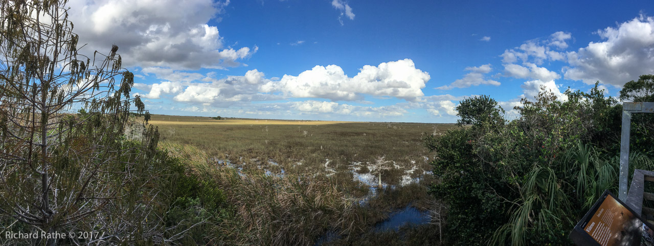 Pre/Post Kayak Sightseeing