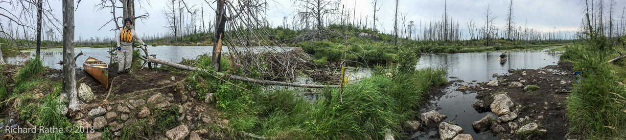 Results of Pagami Fire 2011