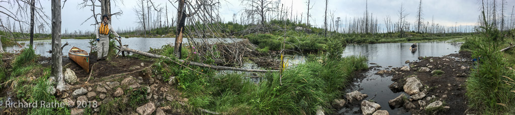 Results of Pagami Fire 2011