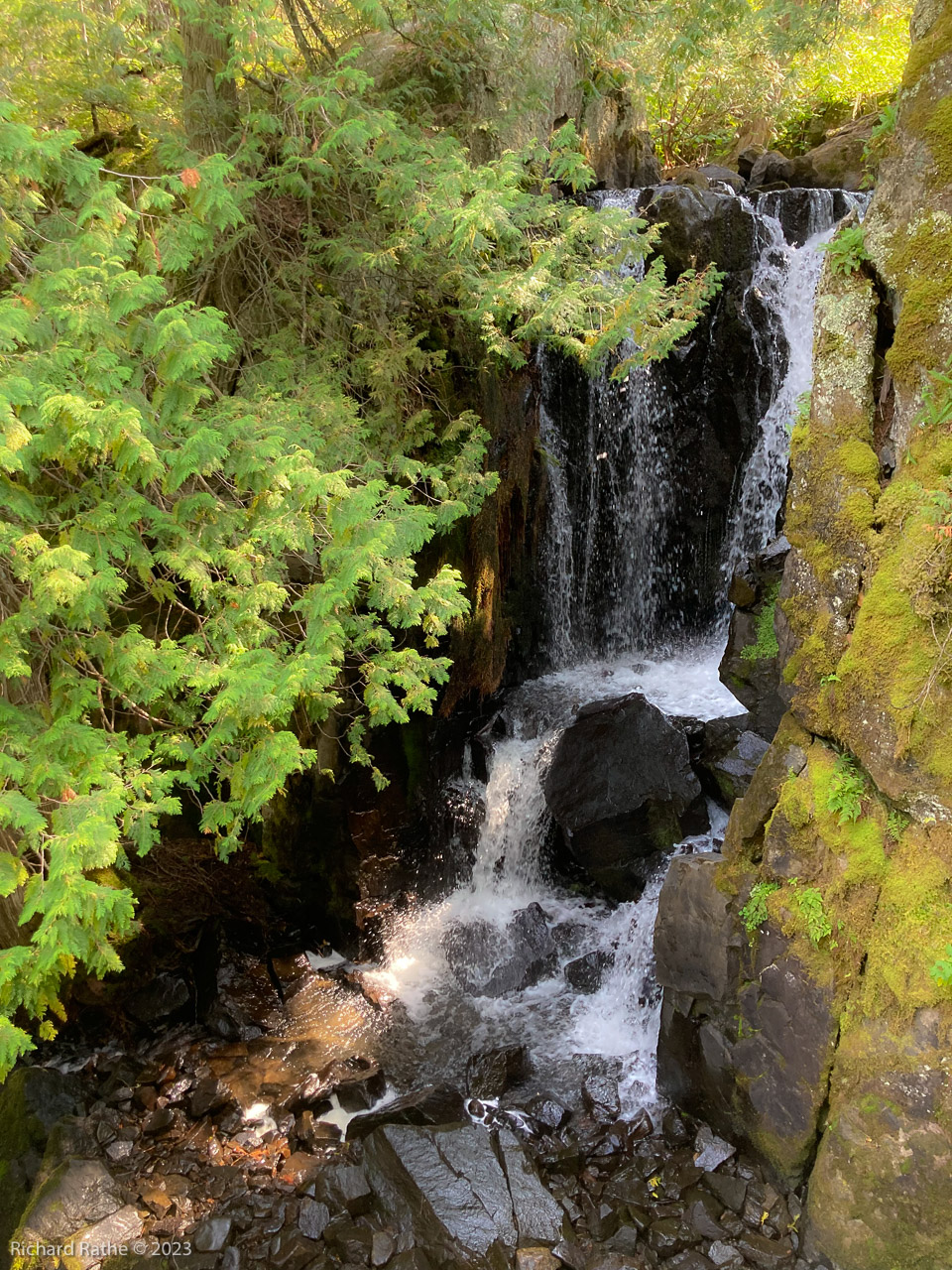 Rose Falls