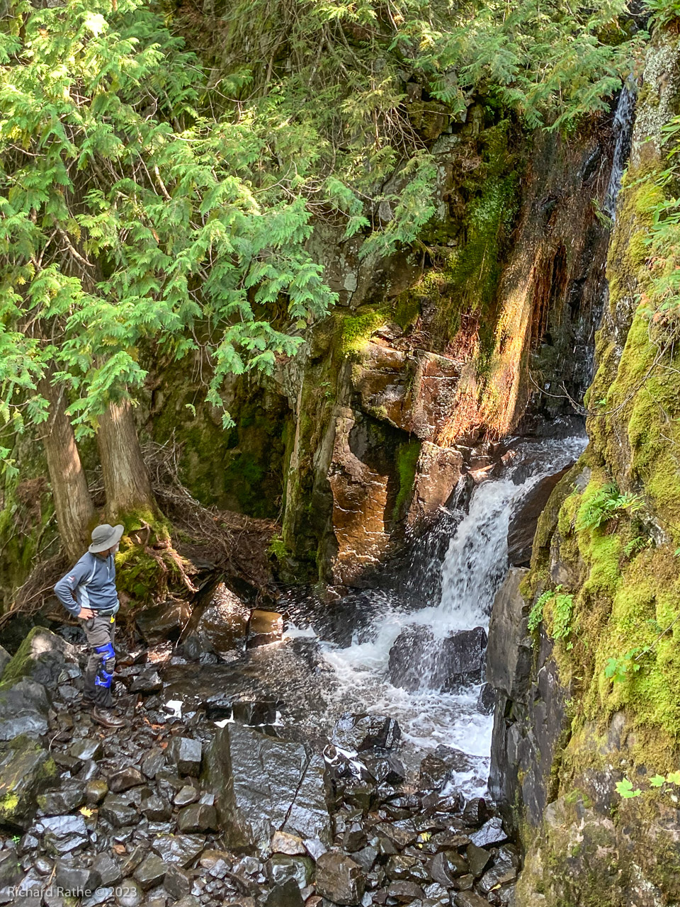 Rose Falls