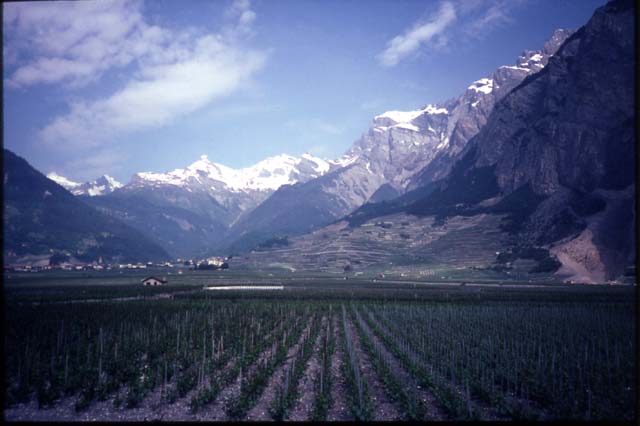 44-rhone-valley