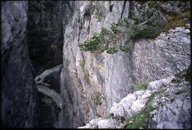 49-river-gorge