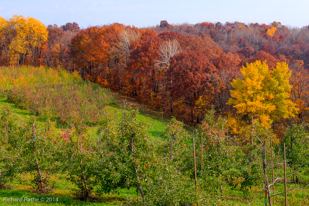 Apple Orchards Near Gays Mills