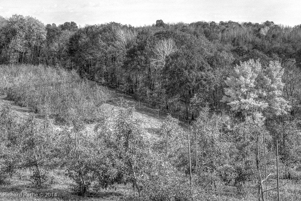 Apple Orchards Near Gays Mills
