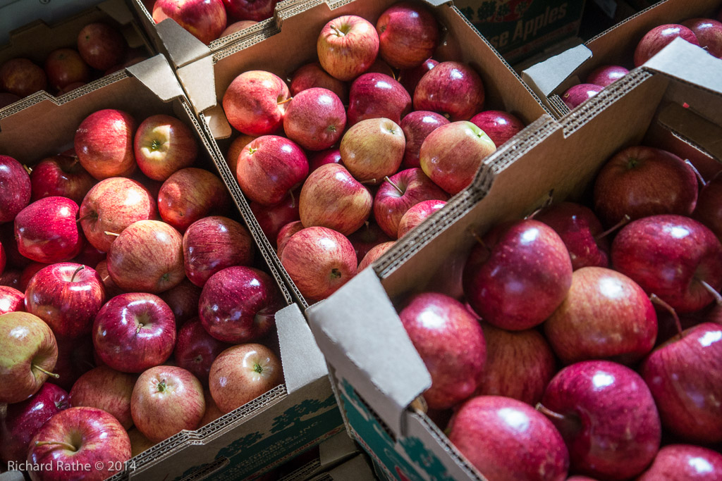 Apple Orchards Near Gays Mills