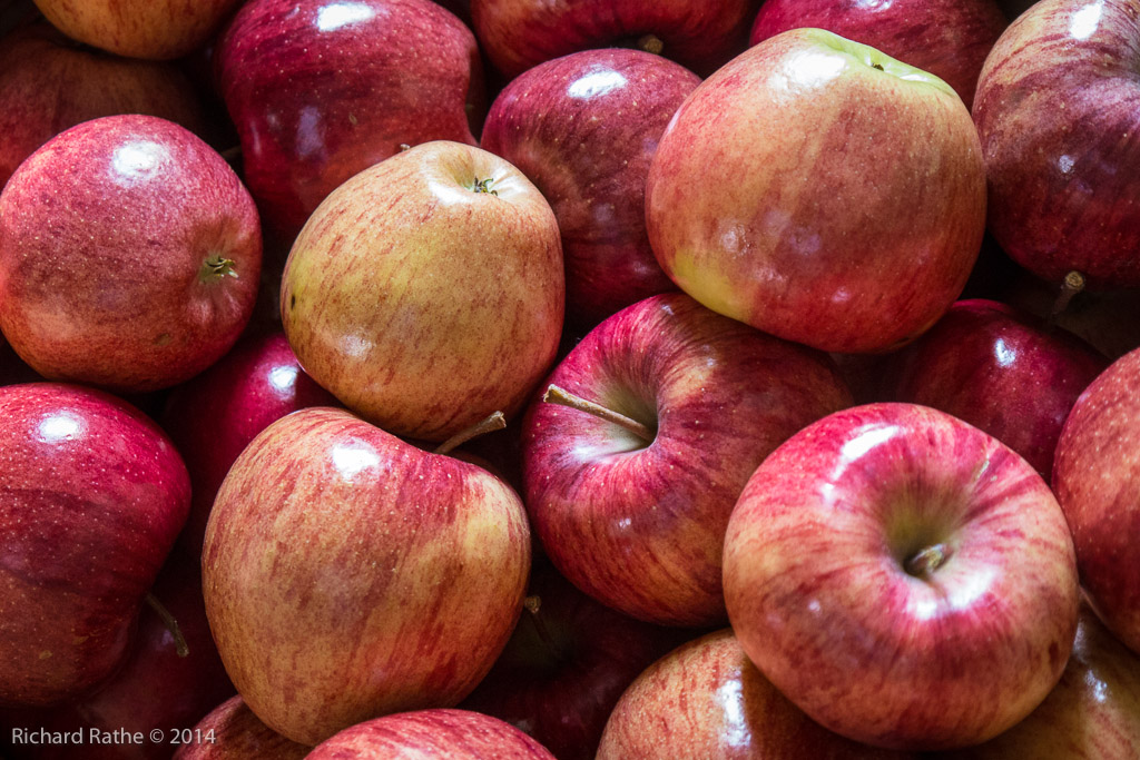 Apple Orchards Near Gays Mills