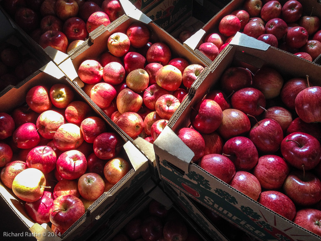 Apple Orchards Near Gays Mills