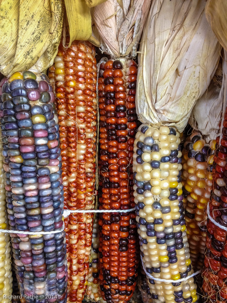 Apple Orchards Near Gays Mills