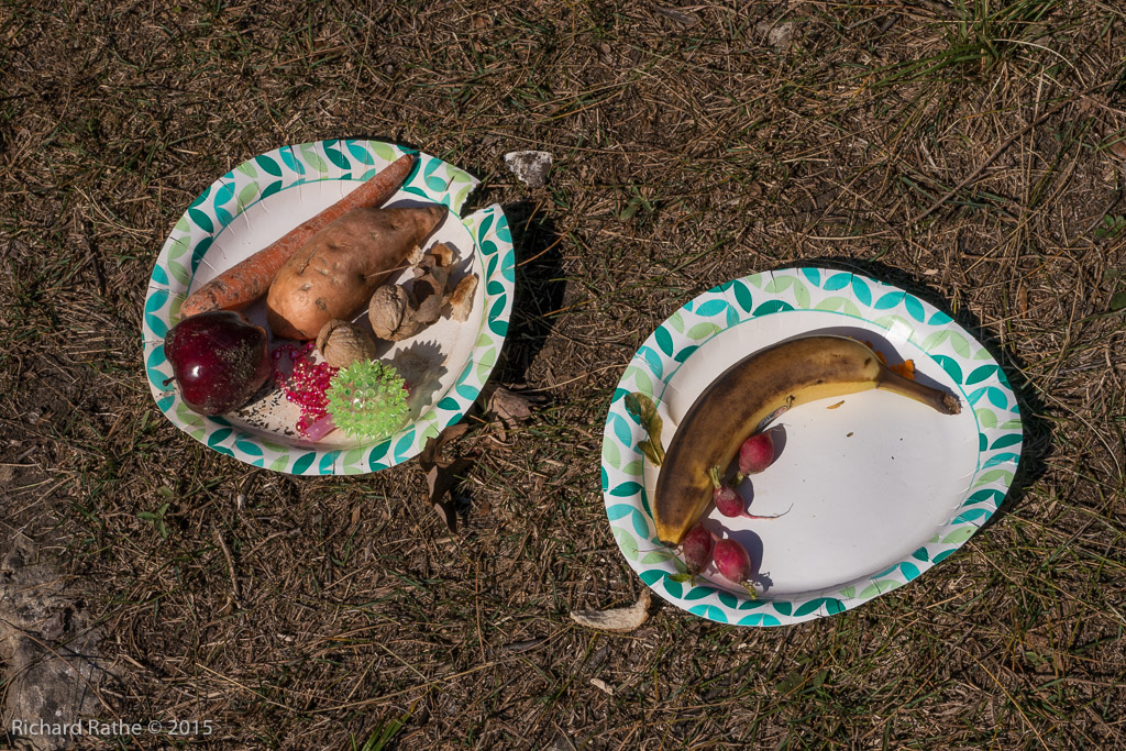 Offering to the Forest Spirits?