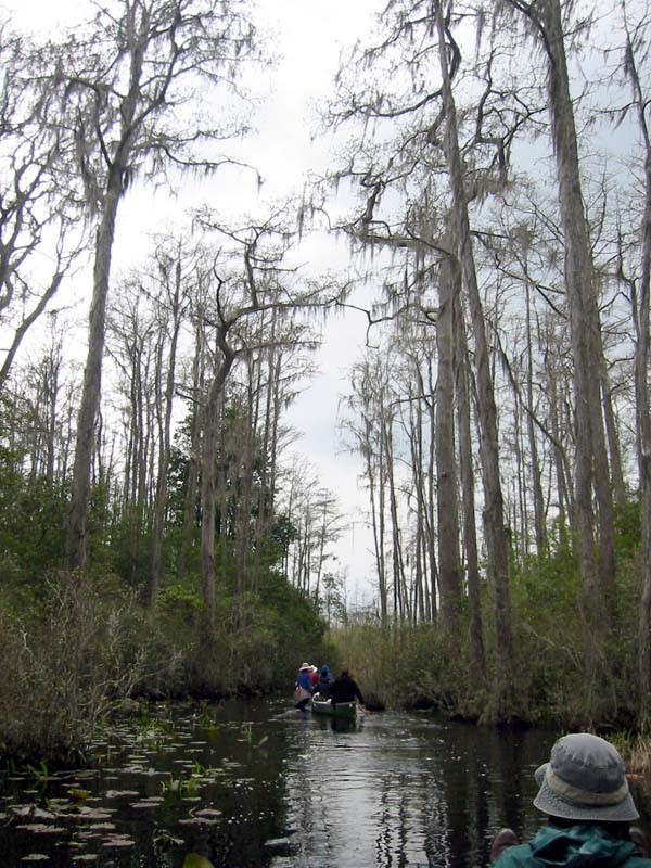 10-big-cypress