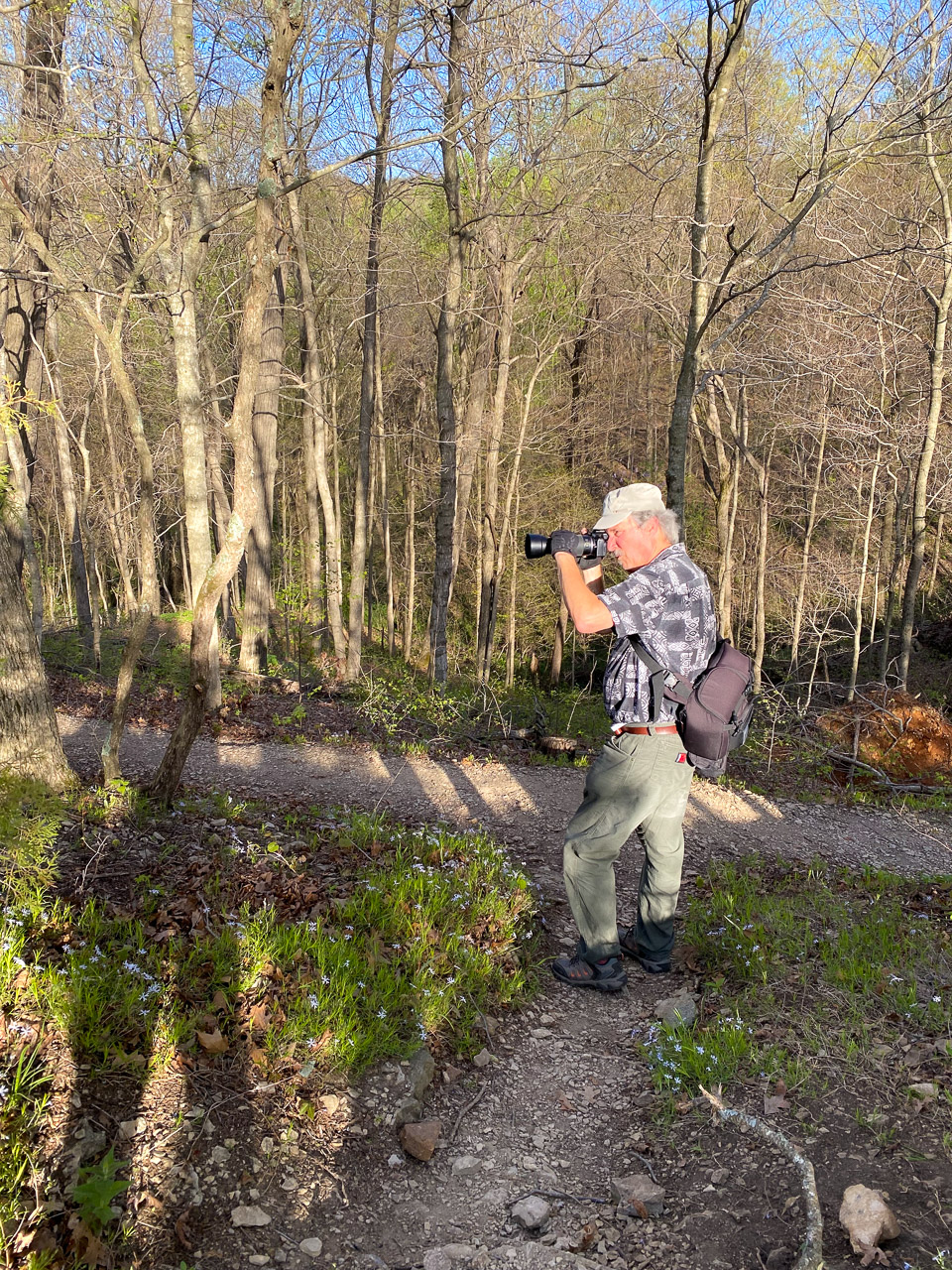 Richard and the Kinglet