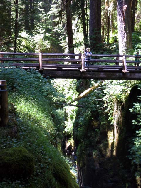 022-sol-duc-bridge1