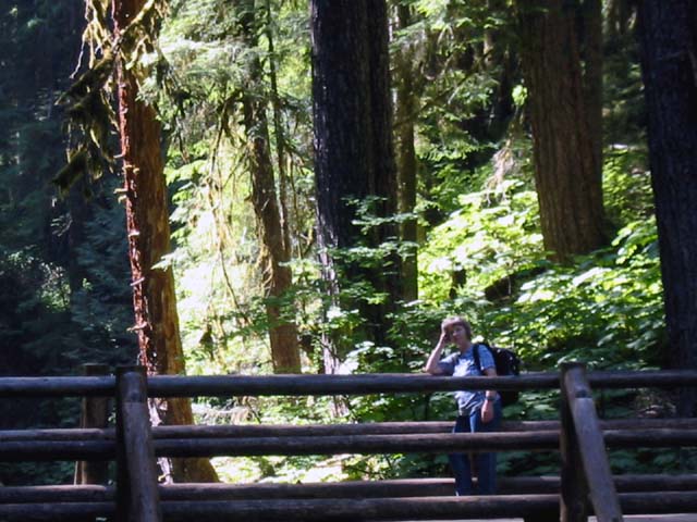 023-sol-duc-bridge2