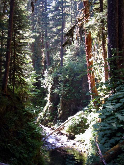 026-sol-duc-river