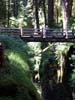 022-sol-duc-bridge1
