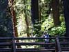 023-sol-duc-bridge2