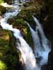 024-sol-duc-falls